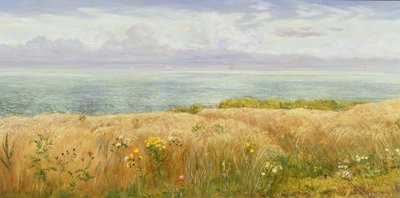 Summer on the Cliffs by John Brett